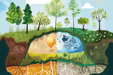 biogeokemijsko-krozenje-kisika-ogljika-dusika-vodni-krog