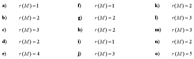 rang-matrike-vaje-1